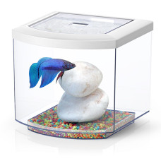 Aquario Betta Branco 6L